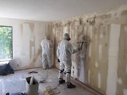 Why You Should Choose Our Mold Remediation Services in Dearborn, MI